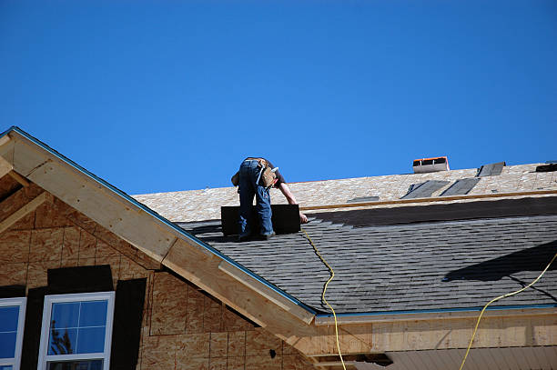 Best Metal Roofing Contractor  in Despard, WV