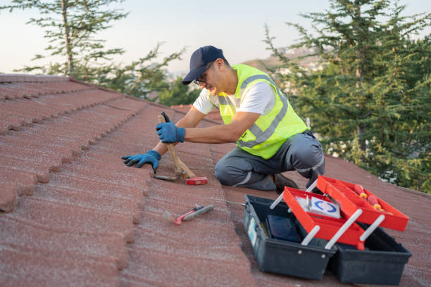 Best Flat Roof Repair Services  in Despard, WV